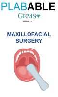 13.2- Maxillofacial Surgery.pdf